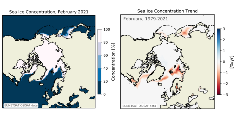 Arctic sea ice in February 2021 and sea-ice trend